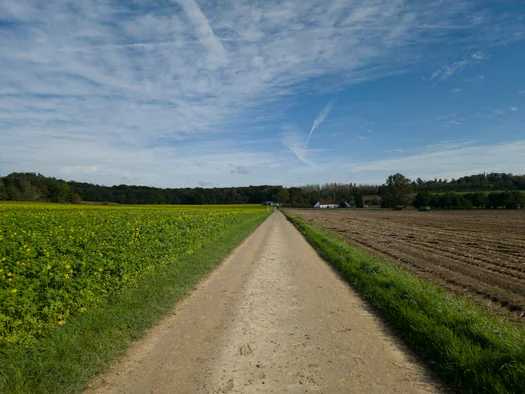 Koppenberg, Zulzeke, Oudenaarde (Belgium)